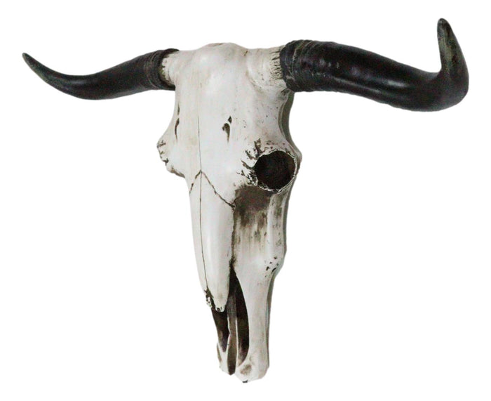Rustic Western Longhorn Bull Cow Steer Head Skull Wall Decor Plaque 20.5"L