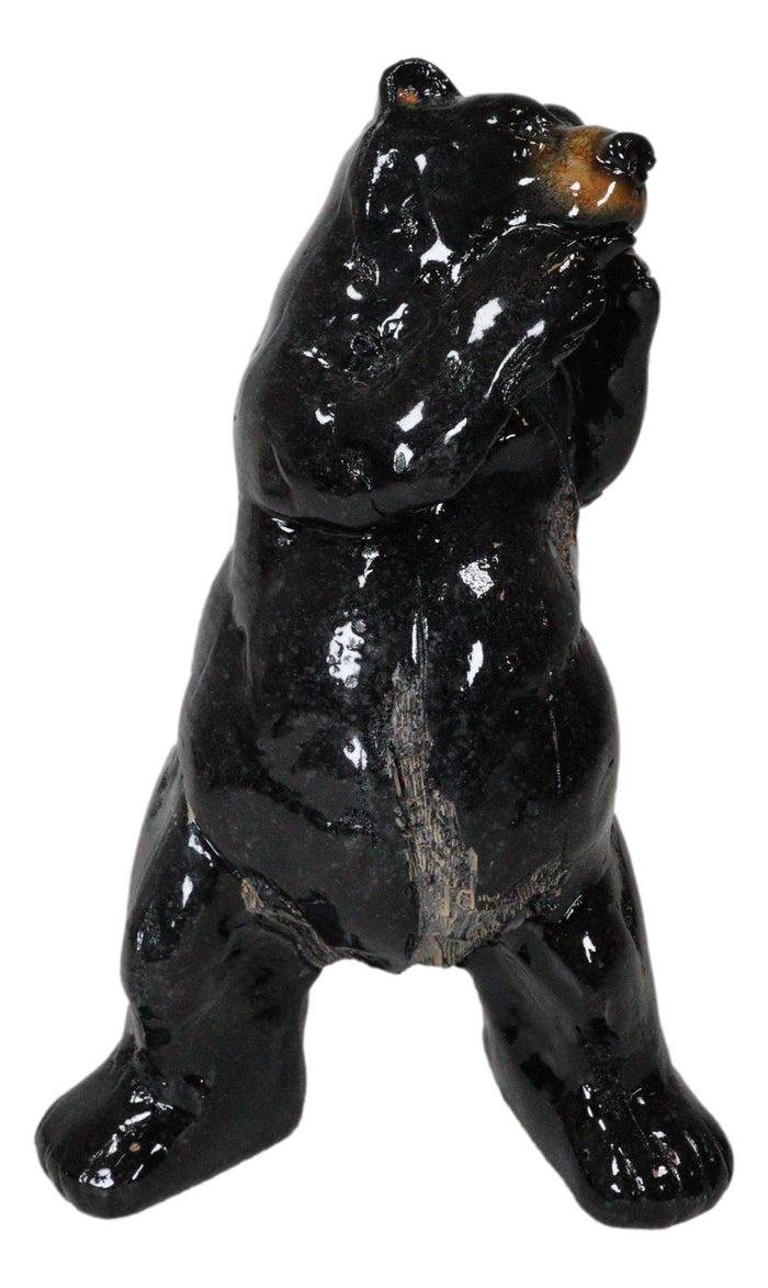 Rustic Western Woodlands Forest Black Bear South Paw Boxing Decorative Figurine