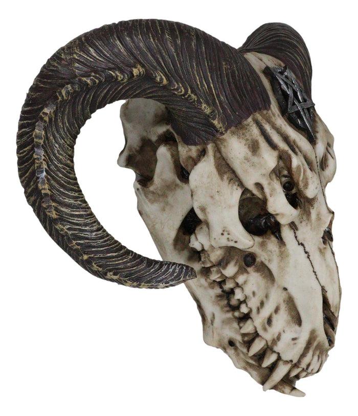 Sabbatic Goat Baphomet Ram Skull Head With Pentagram Sigil Wall Decor