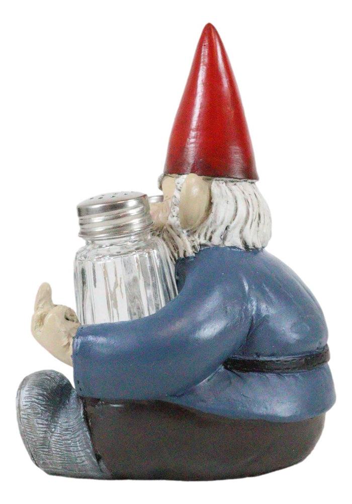 Salty Rude Mr Gnome Flipping The Bird Bugger Off Salt And Pepper Shakers Holder