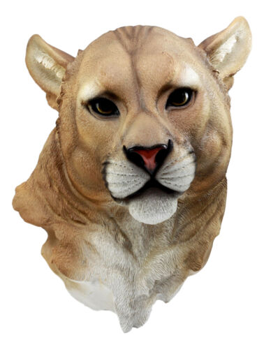 Sarabi Large Lioness Head Wall Decor Plaque 16"Tall Taxidermy Art Decor Figurine