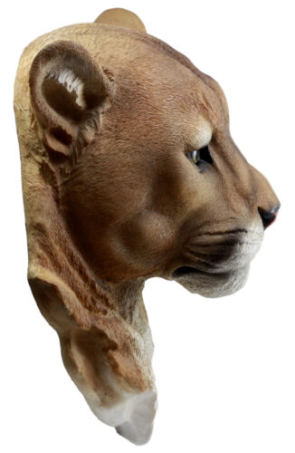Sarabi Large Lioness Head Wall Decor Plaque 16"Tall Taxidermy Art Decor Figurine