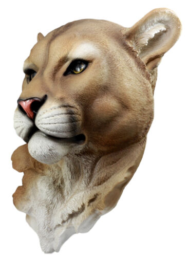 Sarabi Large Lioness Head Wall Decor Plaque 16"Tall Taxidermy Art Decor Figurine