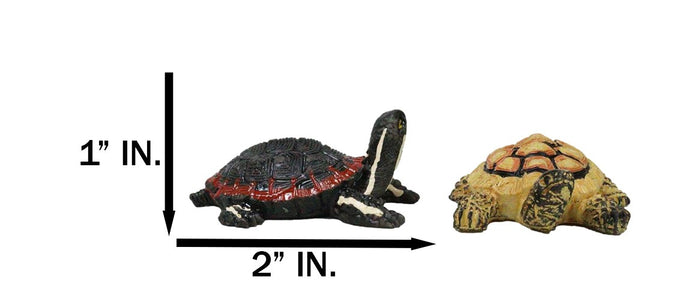 Set Of 12 Marine Colorful 2" Mini Reptile Collectible Tortoise Species Figurines