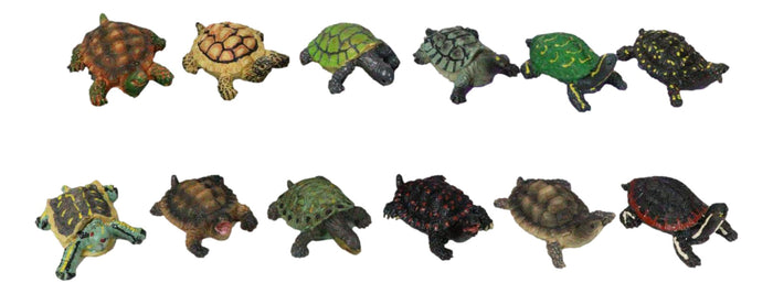 Set Of 12 Marine Colorful 2" Mini Reptile Collectible Tortoise Species Figurines