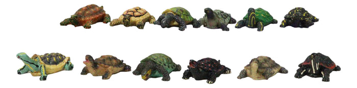 Set Of 12 Marine Colorful 2" Mini Reptile Collectible Tortoise Species Figurines