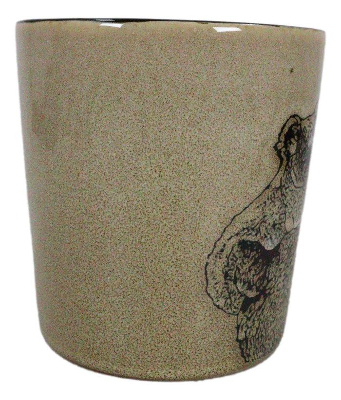 Set Of 2 Native Wild Koala Bear Mother With Joey Ceramic Coffee Cup Mugs 16oz