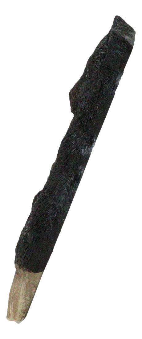 Set Of 2 Rustic Black Bear Cub On Tree Wall Double Receptacle Outlet Plates