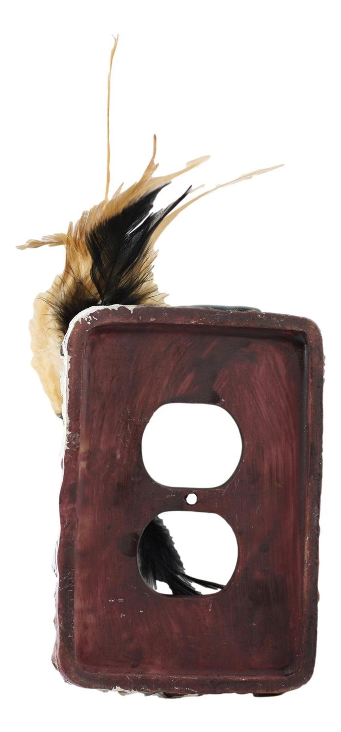 Set Of 2 Western Indian Dreamcatcher Straws Feathers Double Outlet Cover Plates