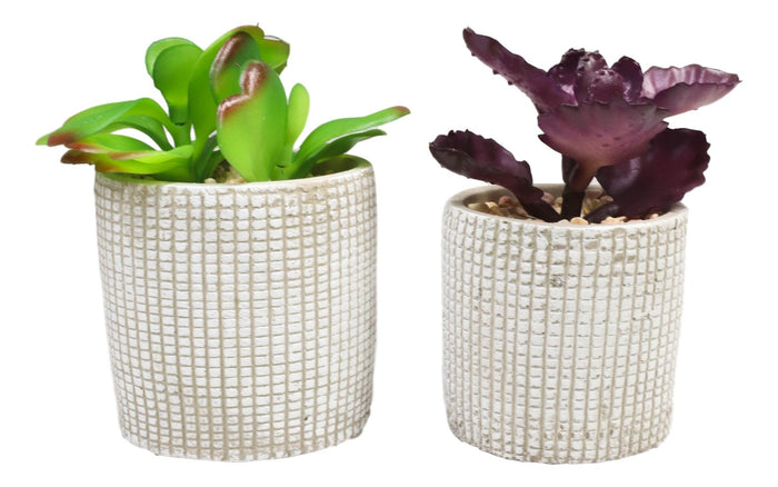 Set Of 3 Colored Realistic Artificial Botanica Succulents Plant In Textured Pots