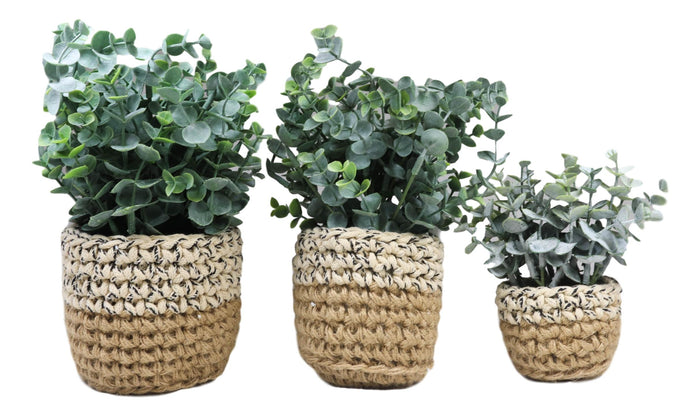 Set Of 3 Realistic Artificial Botanica Fern Eucalyptus Plant In Chic Woven Pots