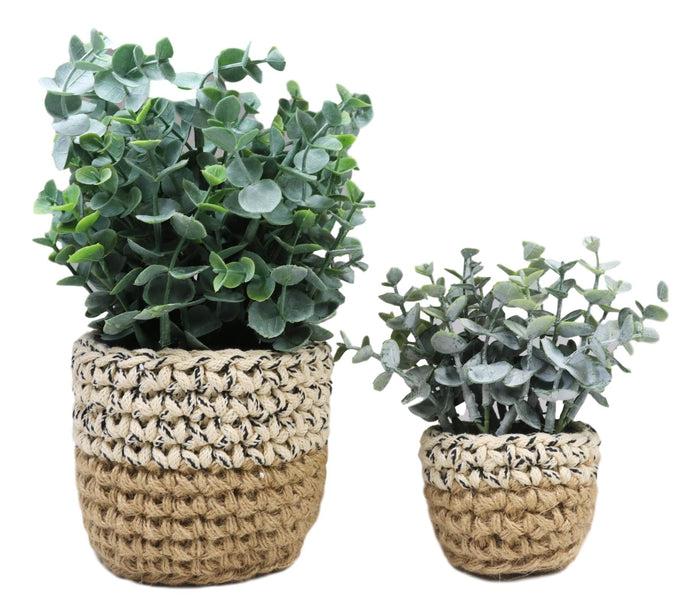 Set Of 3 Realistic Artificial Botanica Fern Eucalyptus Plant In Chic Woven Pots