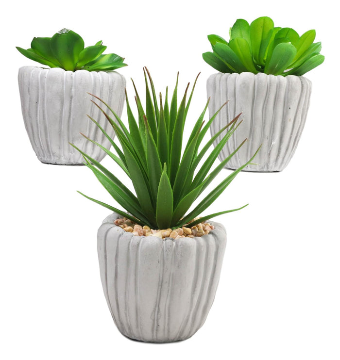 Set Of 3 Realistic Artificial Botanica Fern Succulents Plant In Grey Cement Pots
