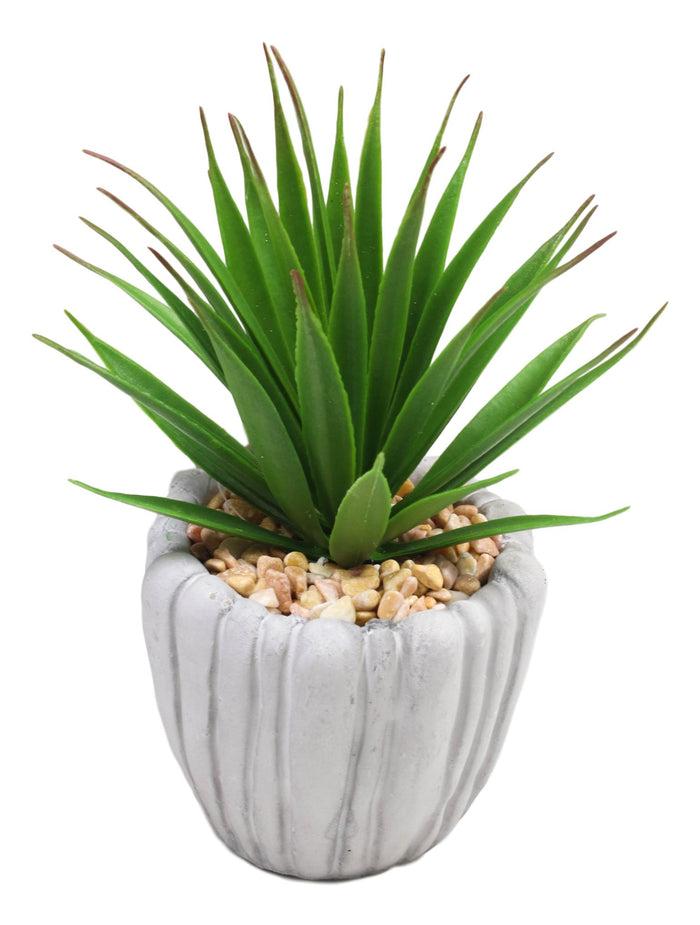 Set Of 3 Realistic Artificial Botanica Fern Succulents Plant In Grey Cement Pots