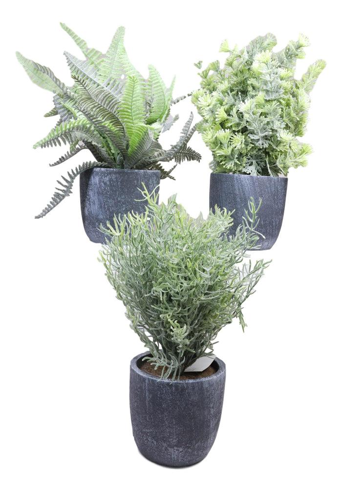 Set Of 3 Realistic Artificial Botanica Greenery Ferns In Faux Cement Pots 12"H