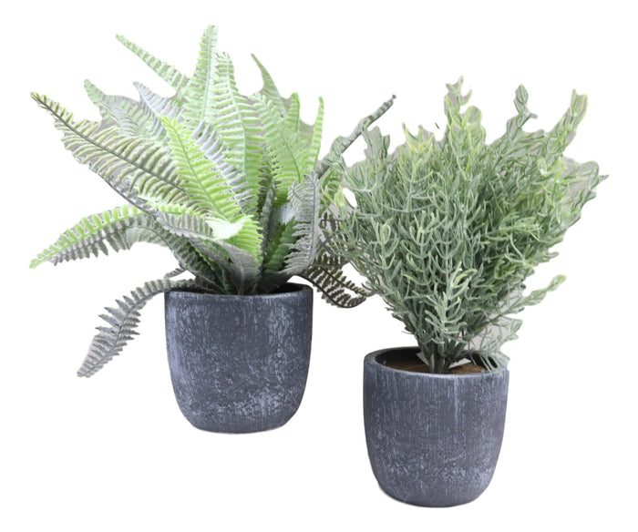 Set Of 3 Realistic Artificial Botanica Greenery Ferns In Faux Cement Pots 12"H