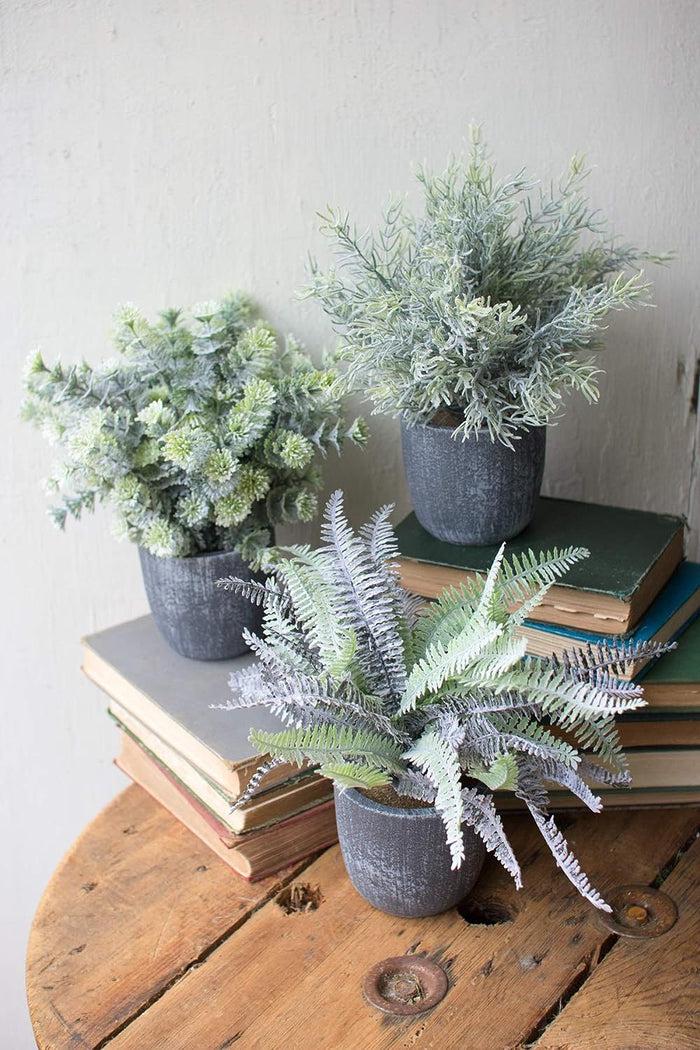 Set Of 3 Realistic Artificial Botanica Greenery Ferns In Faux Cement Pots 12"H