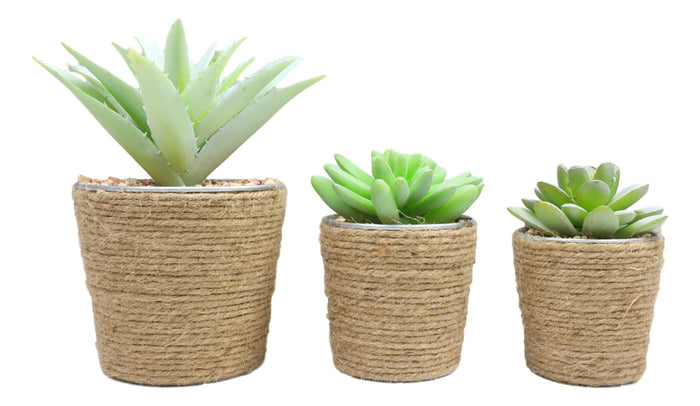 Set Of 3 Realistic Artificial Botanica Plant Succulents In Jute Wrapped Tin Pots