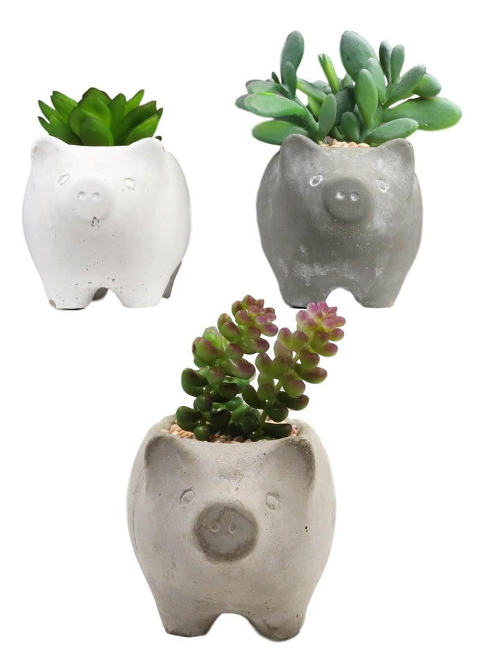 Set Of 3 Realistic Artificial Botanica Succulents In Little Pigs Pot 5" High