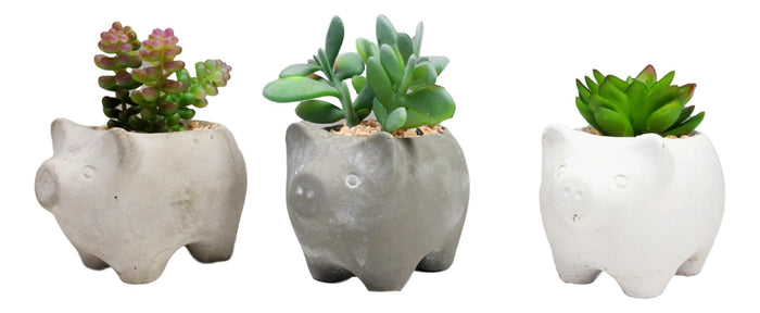 Set Of 3 Realistic Artificial Botanica Succulents In Little Pigs Pot 5" High