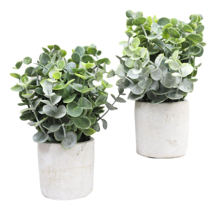 Set Of 4 Realistic Artificial Botanica Boxwood Sage Bush Plant In Concrete Pots