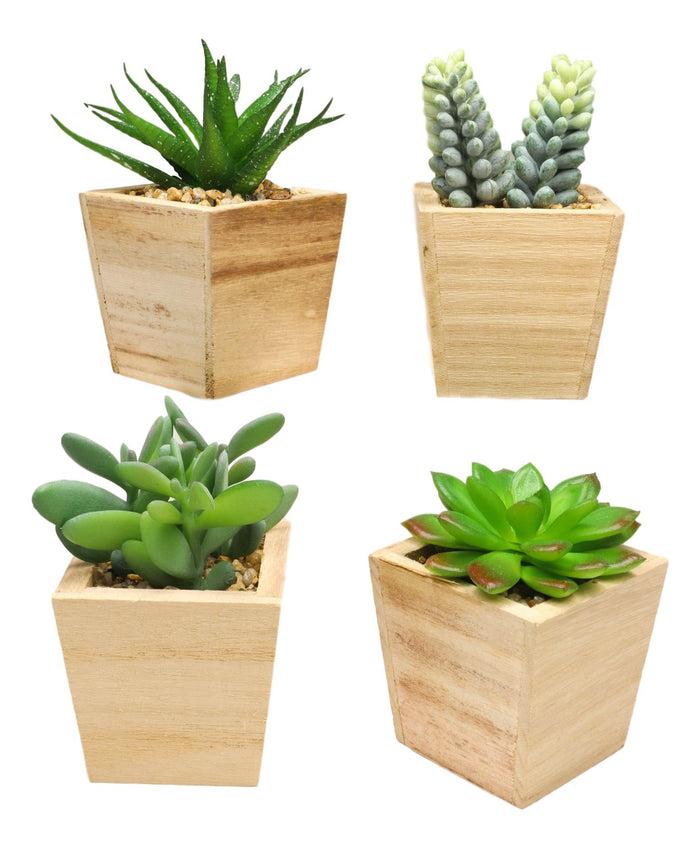 Set Of 4 Realistic Artificial Botanica Green Succulents In Wooden Pots 4.75"H