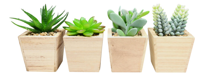 Set Of 4 Realistic Artificial Botanica Green Succulents In Wooden Pots 4.75"H
