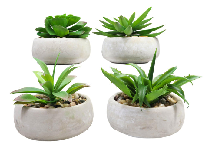 Set Of 4 Realistic Artificial Botanica Plants Succulents In Cement Pot 7"Dia