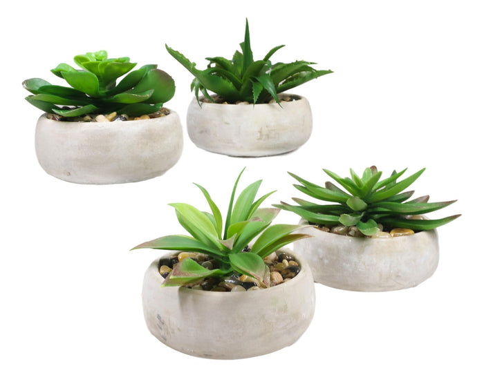 Set Of 4 Realistic Artificial Botanica Plants Succulents In Cement Pot 7"Dia