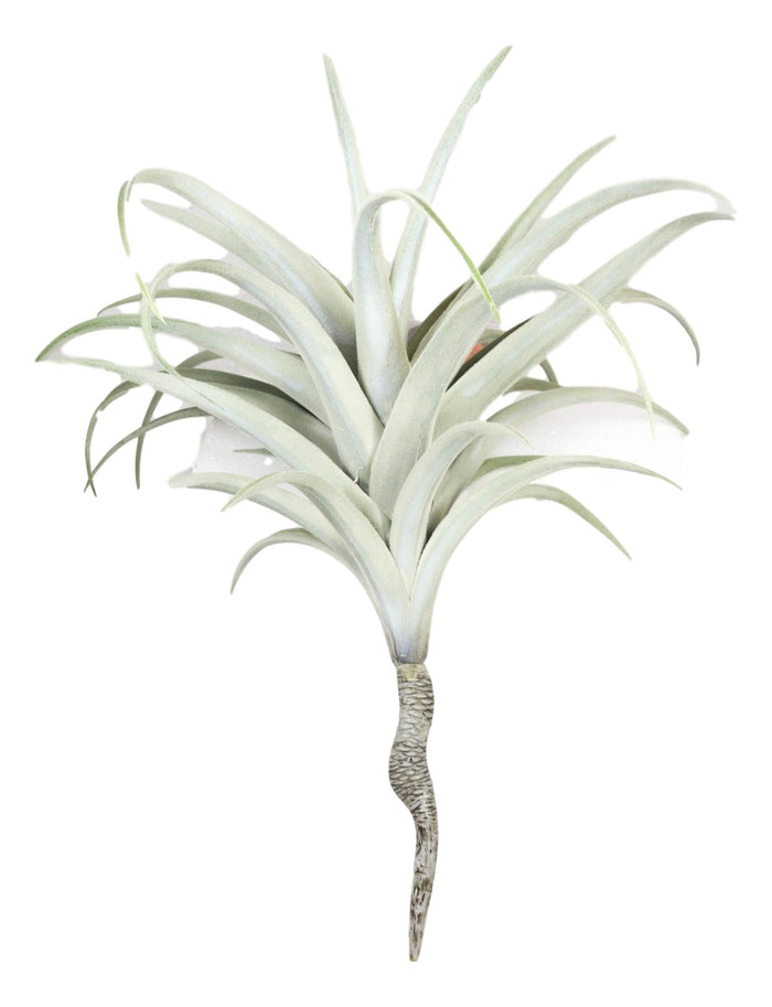 Set Of 4 Realistic Large Artificial Air Plant Succulents Stem Green Botanica 17"