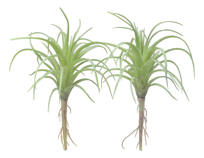 Set Of 5 Realistic Artificial Faux Botanica Air Plants Fern Grass Succulents 8"