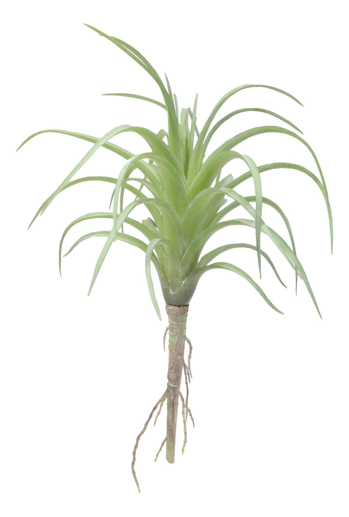 Set Of 5 Realistic Artificial Faux Botanica Air Plants Fern Grass Succulents 8"