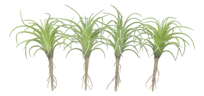 Set Of 5 Realistic Artificial Faux Botanica Air Plants Fern Grass Succulents 8"