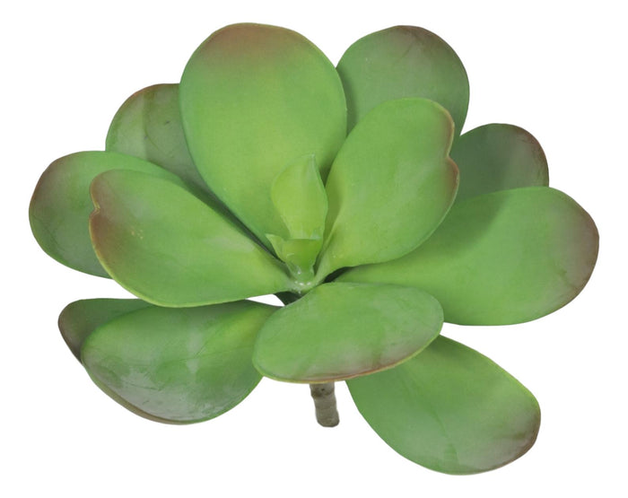 Set Of 5 Realistic Artificial Faux Botanica Paddle Plants Fern Grass Succulents