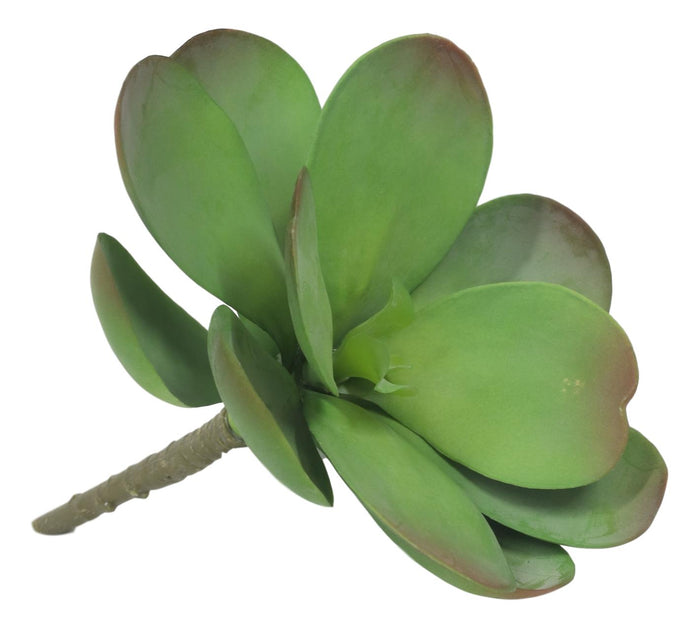 Set Of 5 Realistic Artificial Faux Botanica Paddle Plants Fern Grass Succulents