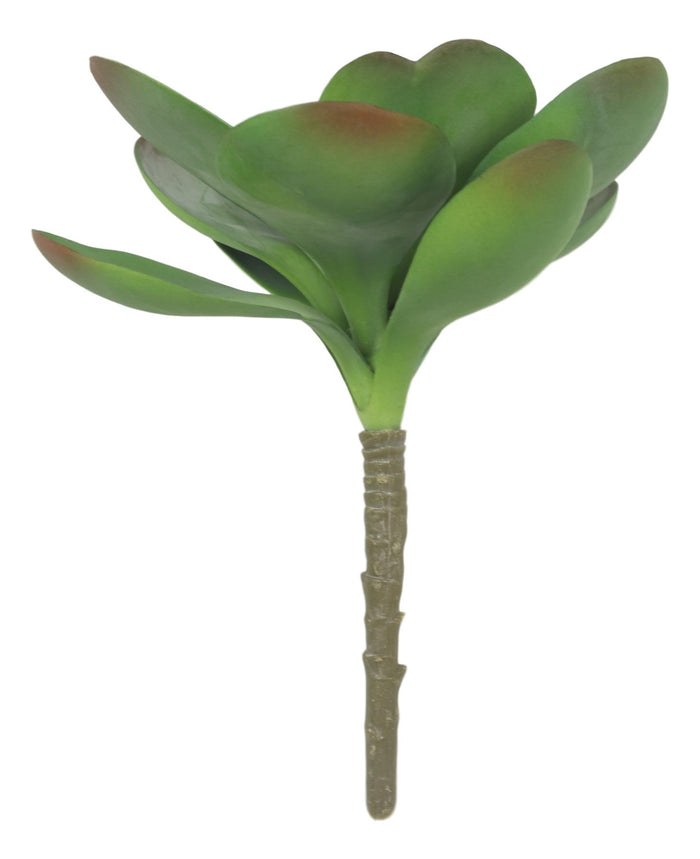 Set Of 5 Realistic Artificial Faux Botanica Paddle Plants Fern Grass Succulents