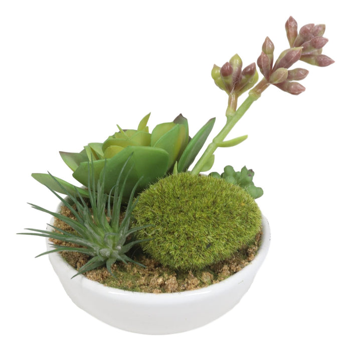 Set Of 5 Realistic Artificial Faux Botanica Succulents In Ceramic Mini Pots