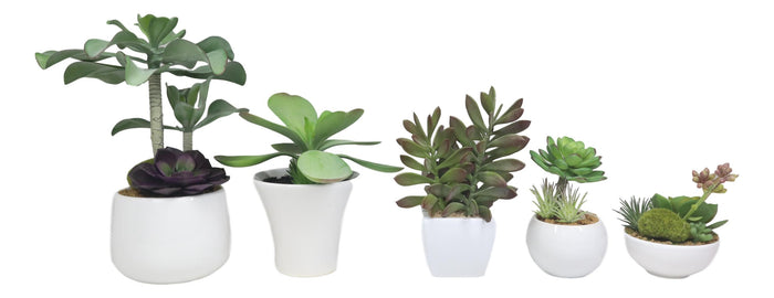 Set Of 5 Realistic Artificial Faux Botanica Succulents In Ceramic Mini Pots