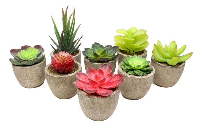 Set Of 8 Colorful Realistic Artificial Botanica Flowering Succulents In Pots 6"H