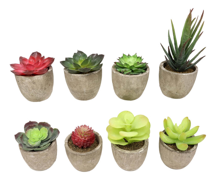 Set Of 8 Colorful Realistic Artificial Botanica Flowering Succulents In Pots 6"H