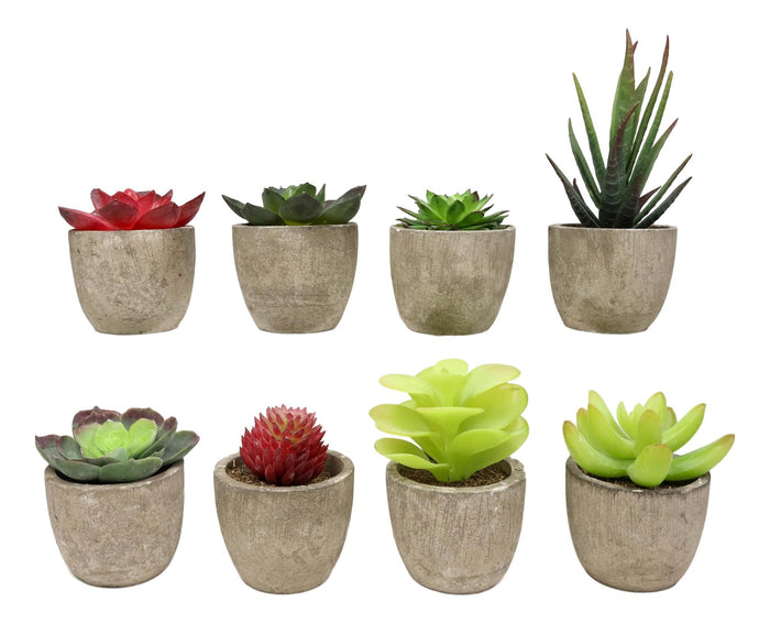 Set Of 8 Colorful Realistic Artificial Botanica Flowering Succulents In Pots 6"H
