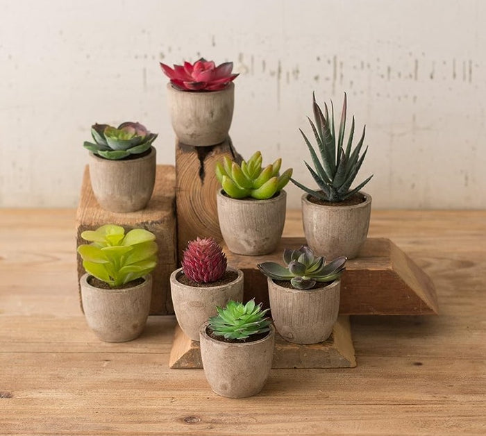 Set Of 8 Colorful Realistic Artificial Botanica Flowering Succulents In Pots 6"H