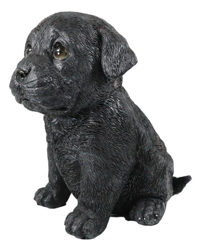 Sitting Adorable Black Labrador Retriever Puppy Dog Pet Pal Pooch Figurine