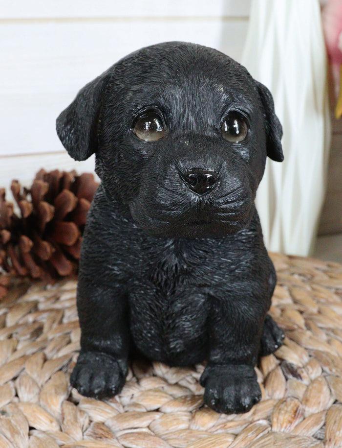 Sitting Adorable Black Labrador Retriever Puppy Dog Pet Pal Pooch Figurine Sitting Adorable Black Labrador Retriever Puppy Dog Pet Pal Pooch Figurine