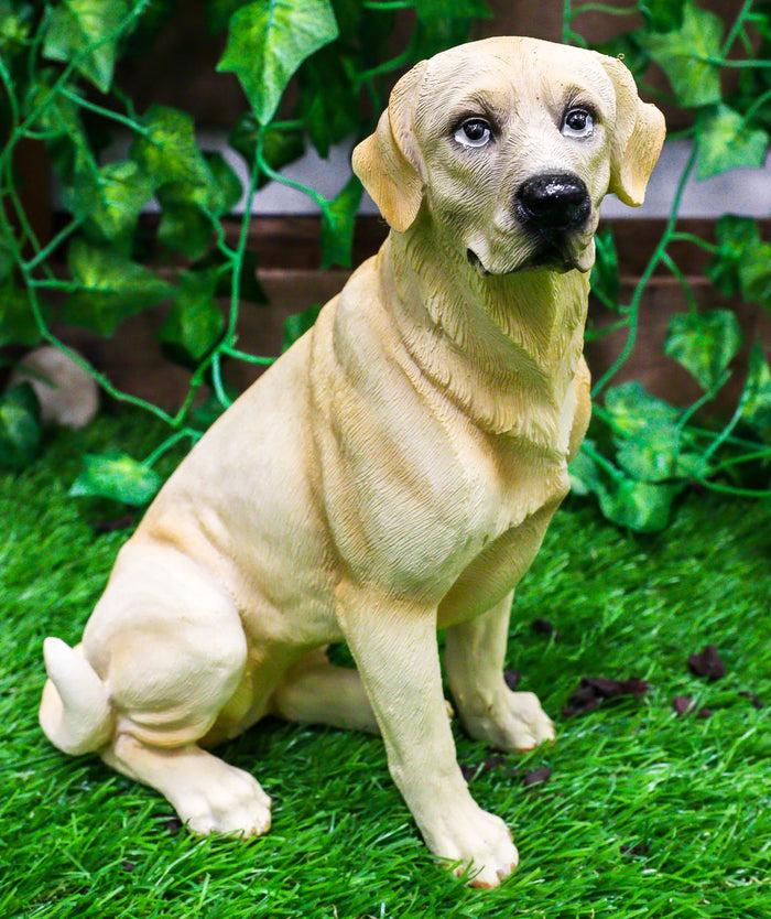 Sitting Adorable Yellow Labrador Retriever Statue 8.5"H Golden Retriever Dog Sitting Adorable Yellow Labrador Retriever Statue 8.5"H Golden Retriever Dog
