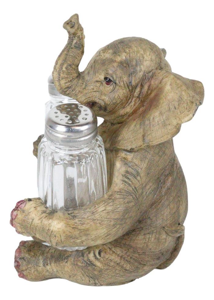 Sitting African Safari Bush Elephant With Trunk Up Salt Pepper Shakers Holder