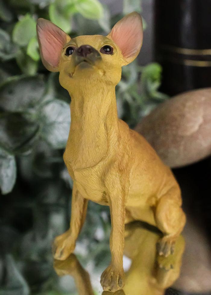 Sitting Lifelike Adorable Shorthair Tan Chihuahua Puppy Dog Pet Pal Figurine Sitting Lifelike Adorable Shorthair Tan Chihuahua Puppy Dog Pet Pal Figurine