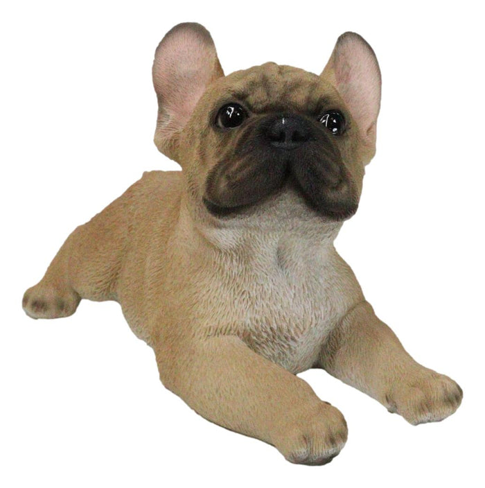 Sitting Realistic Adorable French Bulldog Puppy Dog Frenchie Figurine 8.25"L Sitting Realistic Adorable French Bulldog Puppy Dog Frenchie Figurine 8.25"L