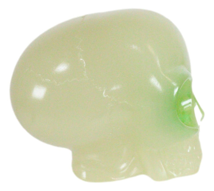 Small Photo Luminous Glow In The Dark ET Extraterrestrial Alien Skull Figurine