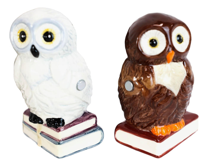 Snow White And Great Horned Brown Owls On Books Ceramic Salt Pepper Shakers Set